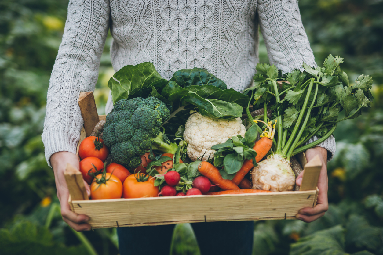 Food Basket Image